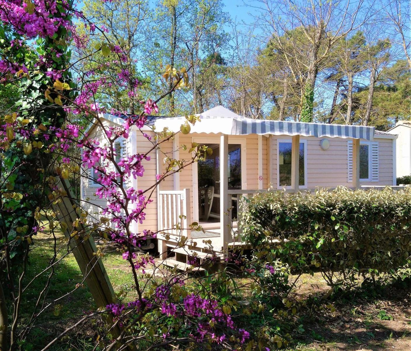 Camping Au Bon Air - Marennes Oléron Exterior foto